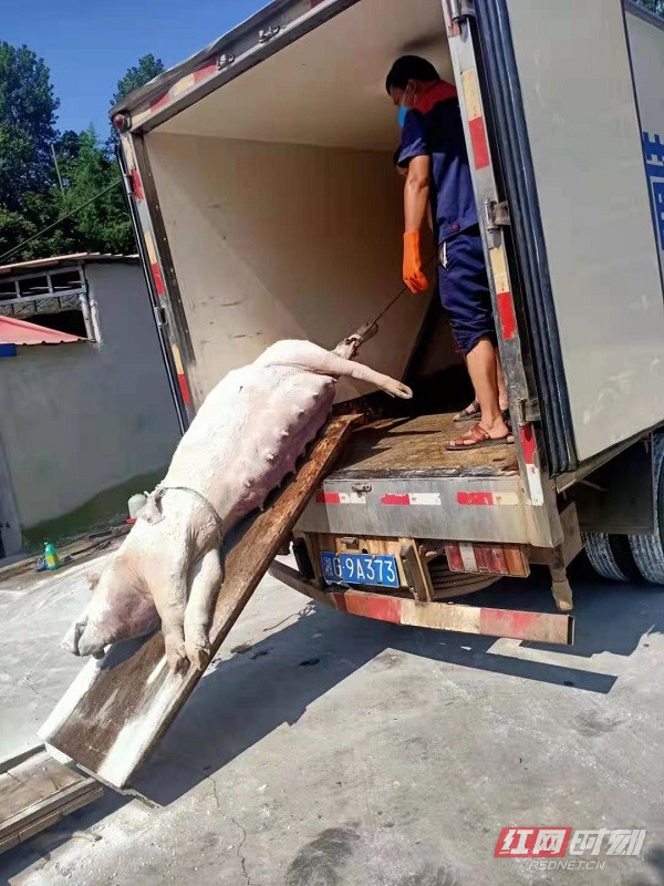 2_WPS图片.jpg 2_WPS图片.jpg