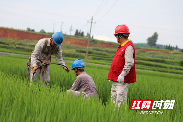 IMG_7684_副本.jpg