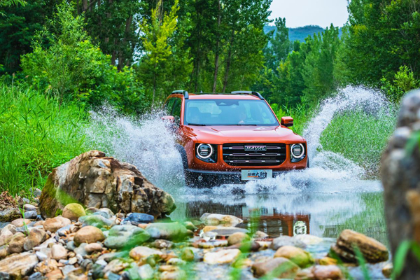 图片4.jpg 图片4.jpg