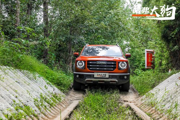 图片3.jpg 图片3.jpg