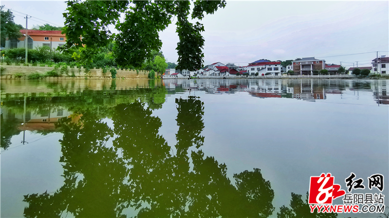 农村人居环境整治示范屋场——风景如画的黄沙街镇三和村再茂屋场.png