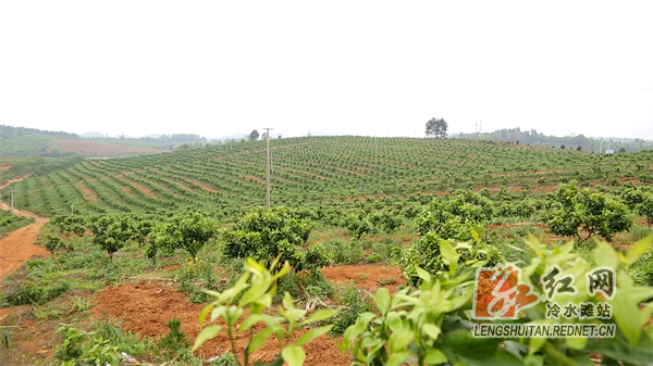 4191557a596e30ba5e8df7e83d6e414.png