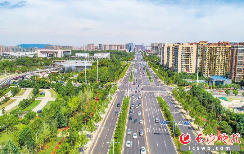 芙蓉南路贯通天心南北，成为长沙直通株潭的一条重要城市主干道。绿化提质后，道路宽敞干净，两旁的栾树色彩斑斓。邹麟 摄