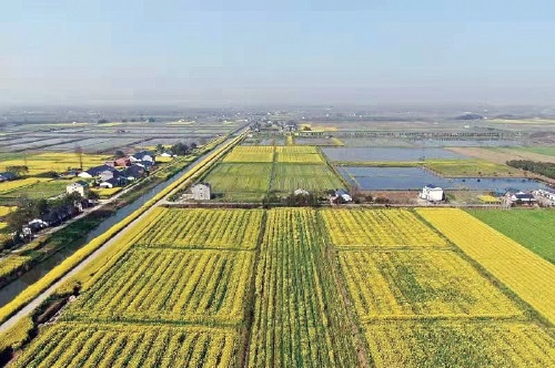 三湘大地耕作忙　洞庭湖畔鱼米香