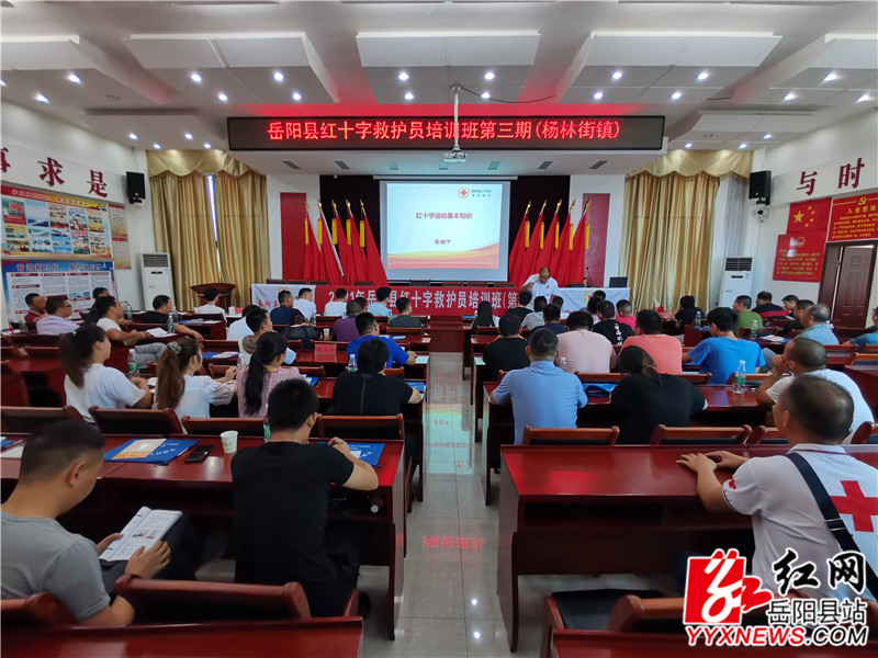 红十字运动基础知识培训.jpg