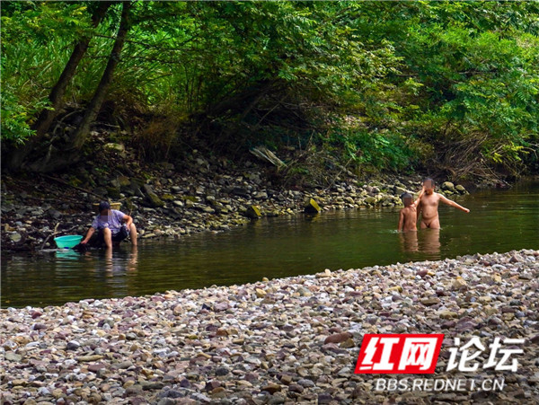 野泳4.jpg