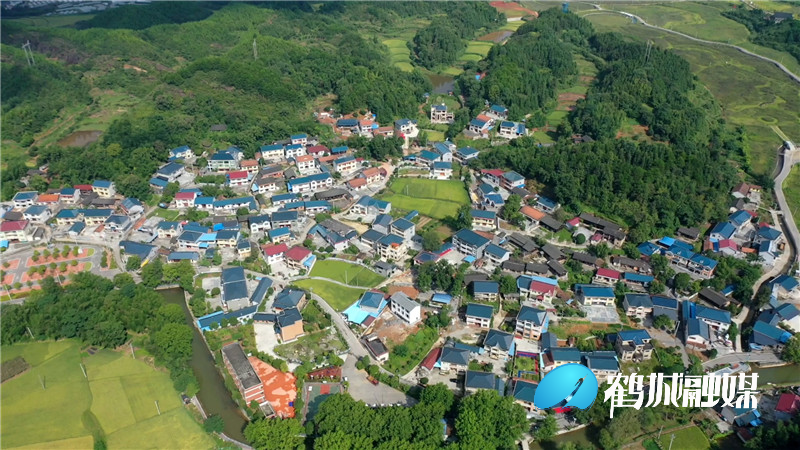 鹤城区：夏日乡村美如画（片尾）.mp4_20210727_181759.513_副本.jpg