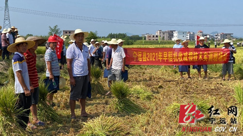 宁远：  加强早稻机收节粮减损技能培训  夯实粮食增产基础_副本500.jpg