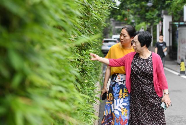 【“七一勋章”获得者说】林丹:当好“人民服务员”就是我的初心,我会守护好它