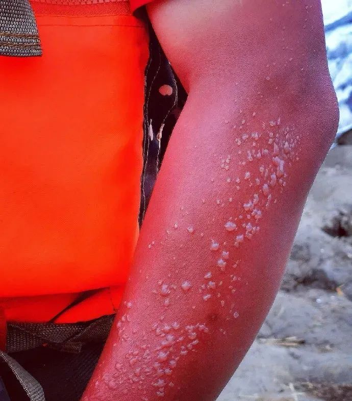 这,就是中国军人的模样!