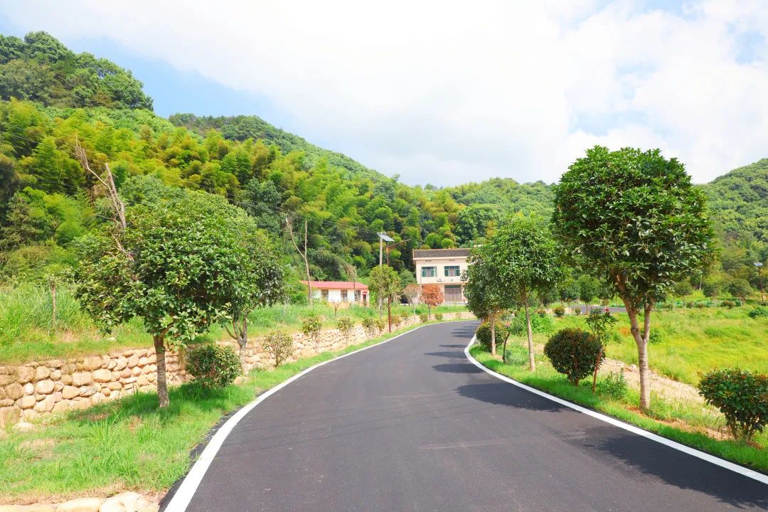 桥驿这个美丽宜居村庄,变样了