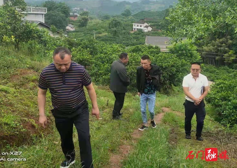 图片13.png 图片13.png