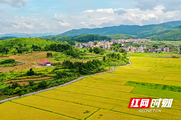 DJI_0829.jpg DJI_0829.jpg