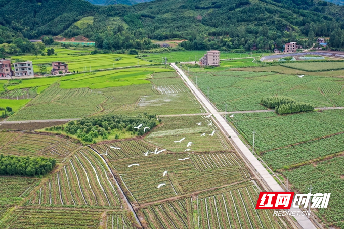 DJI_0769.jpg DJI_0769.jpg