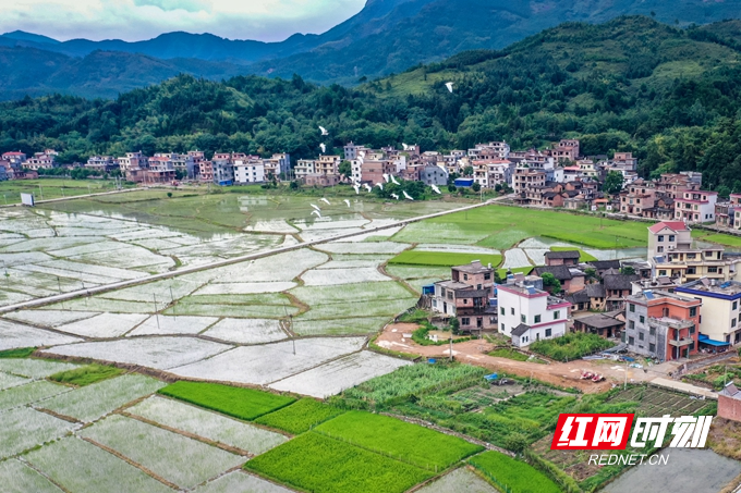 DJI_0771.jpg DJI_0771.jpg