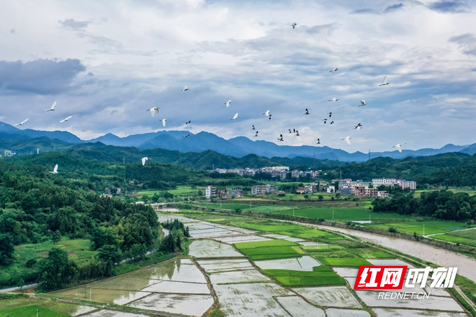 DJI_0788.jpg DJI_0788.jpg
