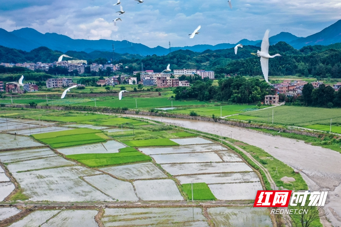 DJI_0782.jpg DJI_0782.jpg
