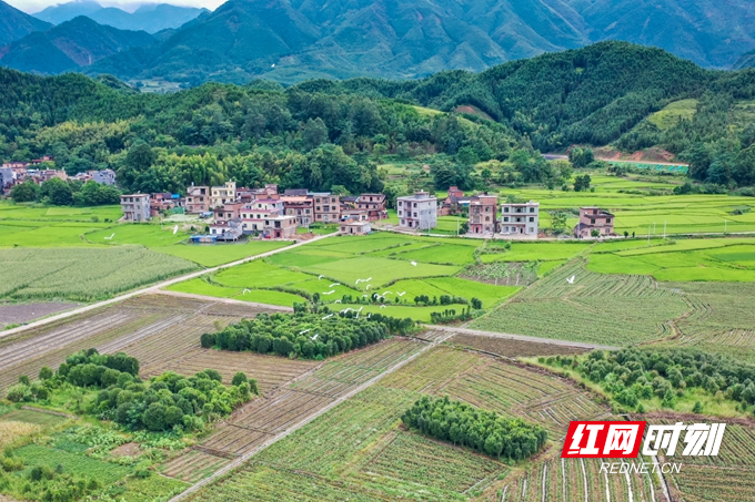 DJI_0761.jpg DJI_0761.jpg