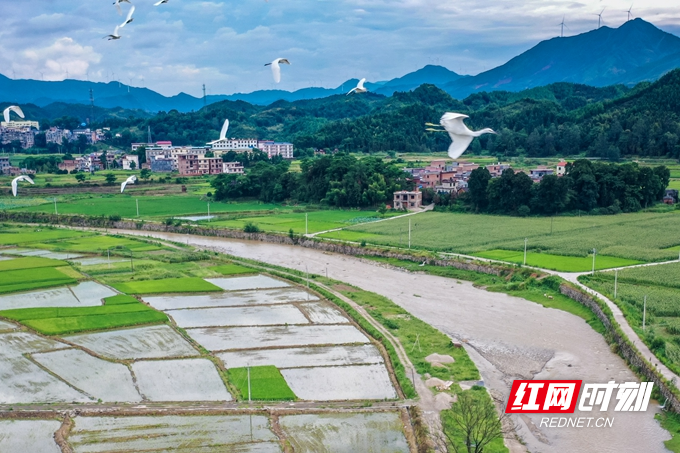 DJI_0783.jpg DJI_0783.jpg