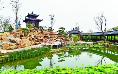 雄安:“一园一景”展现生态之美 雄安:“一园一景”展现生态之美