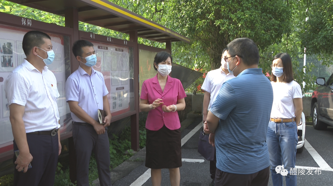 贺小玲赴枫林镇督导防疫工作