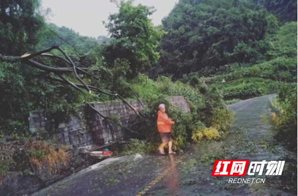 图片2.jpg 图片2.jpg