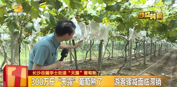 微信图片_20210816100734_副本.jpg 微信图片_20210816100734_副本.jpg