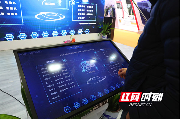 树根.jpg
