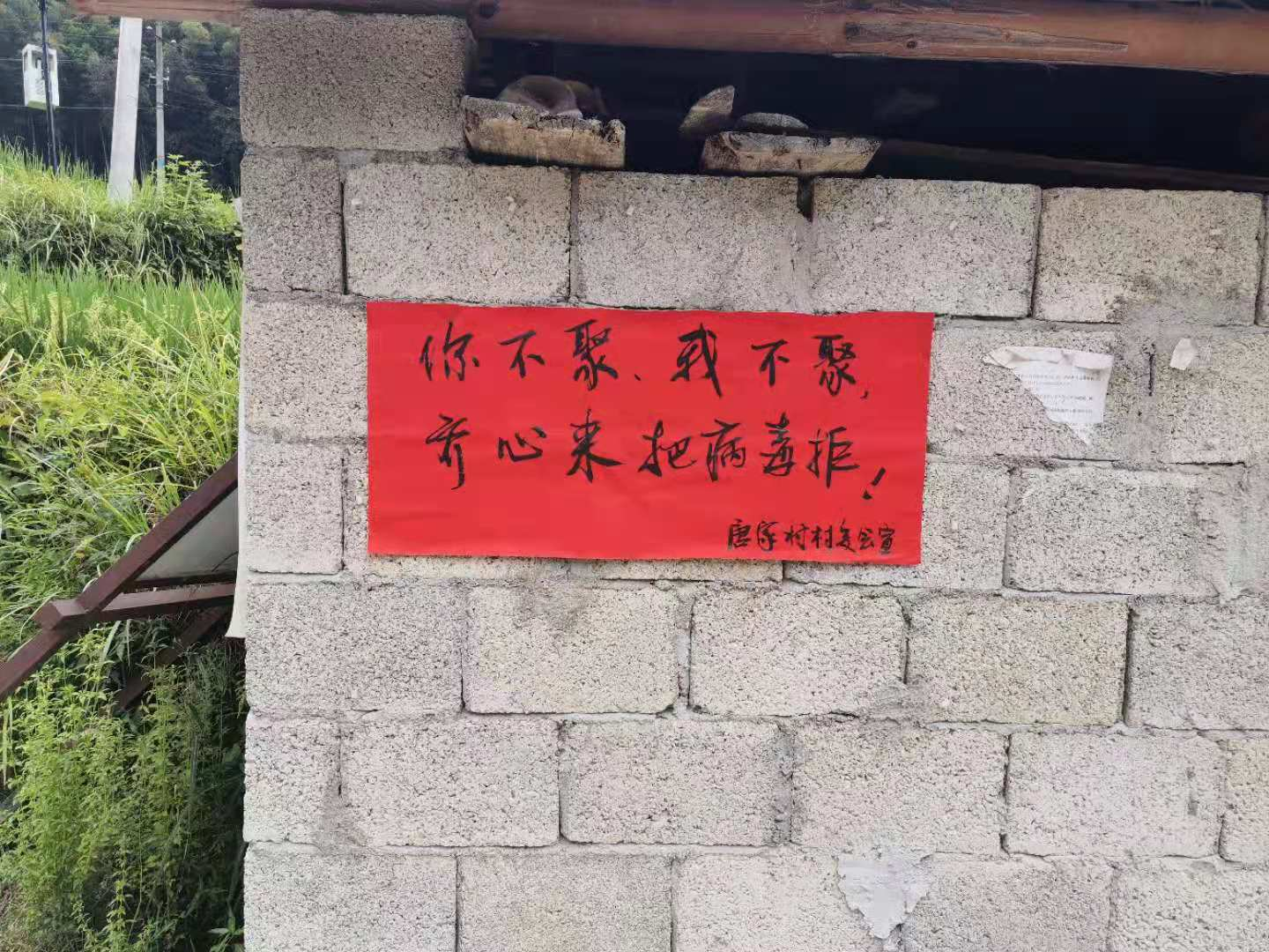 图片19.png