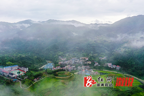 沿溪:乡村雨后景色新