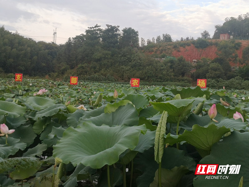 84b5236158ad4623b8586c5dfd55ff2d_副本.jpg