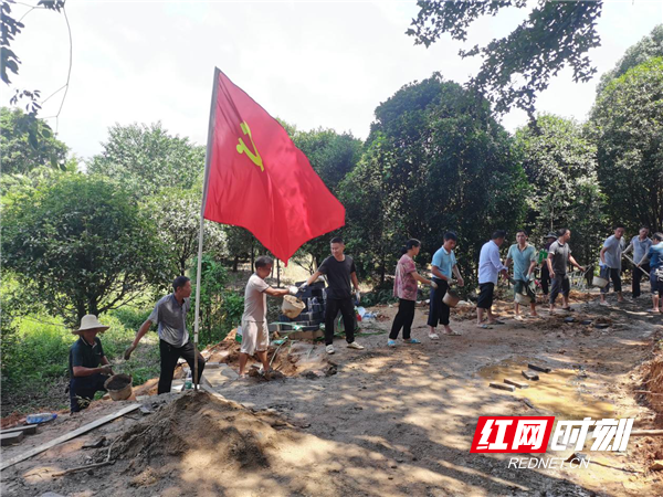 图片3_副本.png