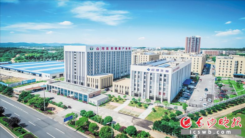 　　山河医药健康产业园于2015年正式投入运营，至2020年底，园区入驻企业178家，年产值超过80亿元，年创利税超过2亿元。长沙晚报通讯员 龙静 供图
