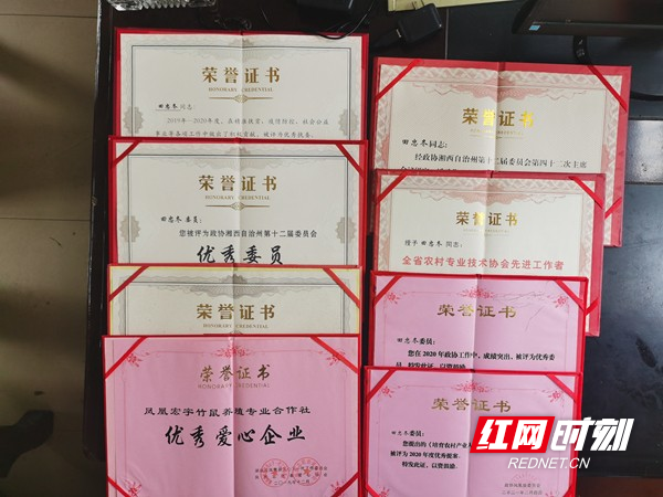 图片13.jpg