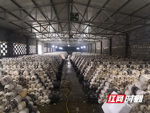 图片14.jpg