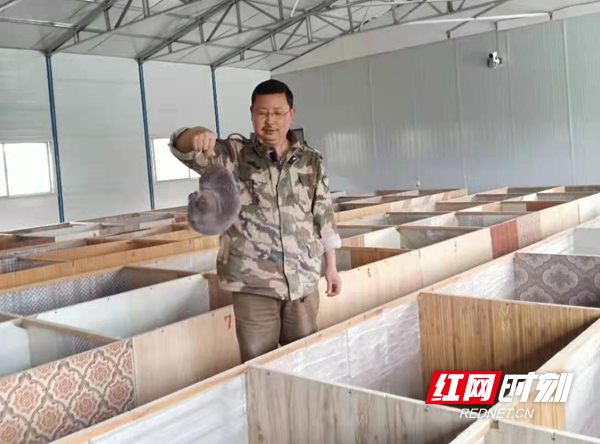 图片15.jpg