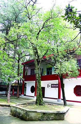 微信截图_20210824101040