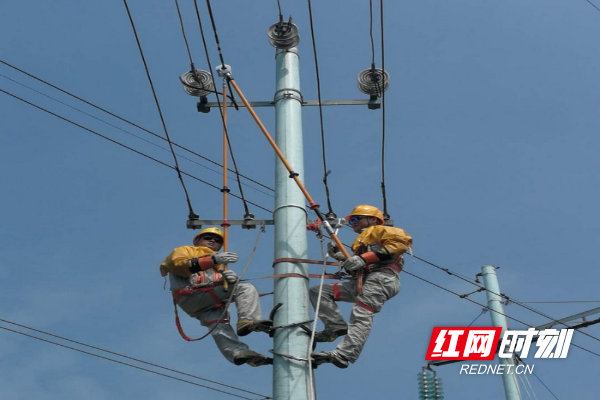 配电运检室：圆满完成带电作业新员工培训1.jpg