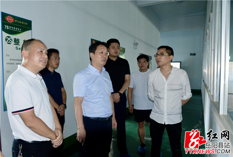图四、五：吴光文在长湖乡白羊村调研鼎丰油茶合作社调研油茶种植基地发展情况11.jpg