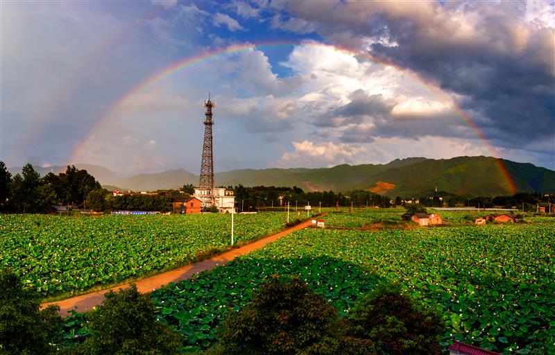 香花村.jpg