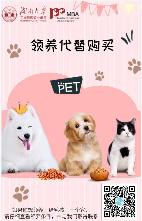 领养代替购买海报.png