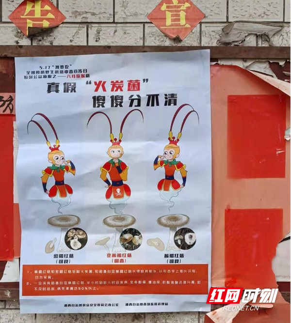 图片7.jpg