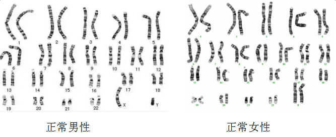 微信图片_20210902110059.png