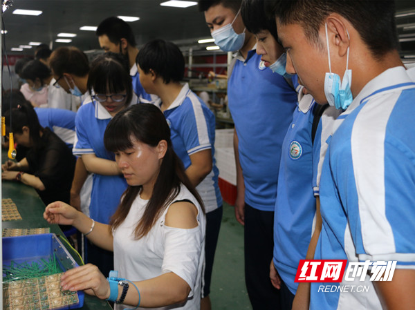 学生参观生产车间.jpg