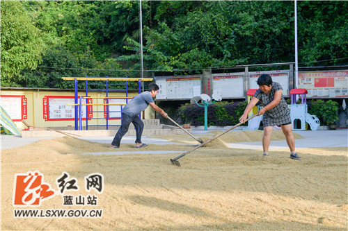 20210830181012544999.jpg