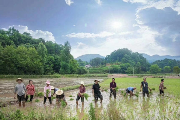 WPS图片-修改尺寸(1).jpg WPS图片-修改尺寸(1).jpg