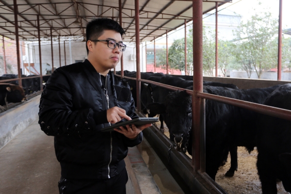 WPS图片-修改尺寸(1).jpg WPS图片-修改尺寸(1).jpg