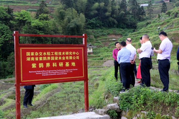 WPS图片-修改尺寸(1).jpg