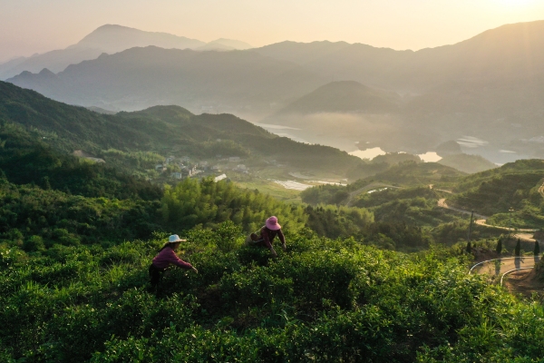 WPS图片-修改尺寸(2).jpg WPS图片-修改尺寸(2).jpg