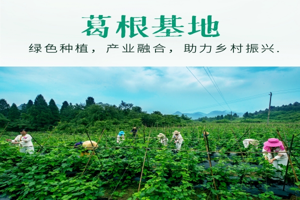 WPS图片-修改尺寸.jpg